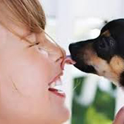 pet-therapy.jpeg